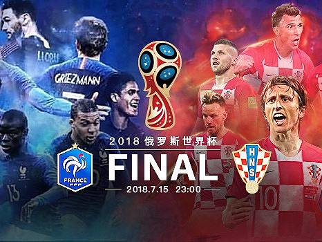 2018所经历的体育赛事-世界杯