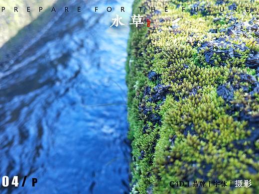 乡村映像 - Prepare/2019 