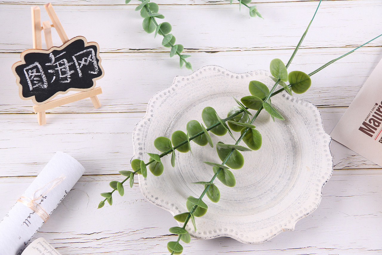 B03家居饰品\C11-仿真饰品\V06仿真尤加利叶X1