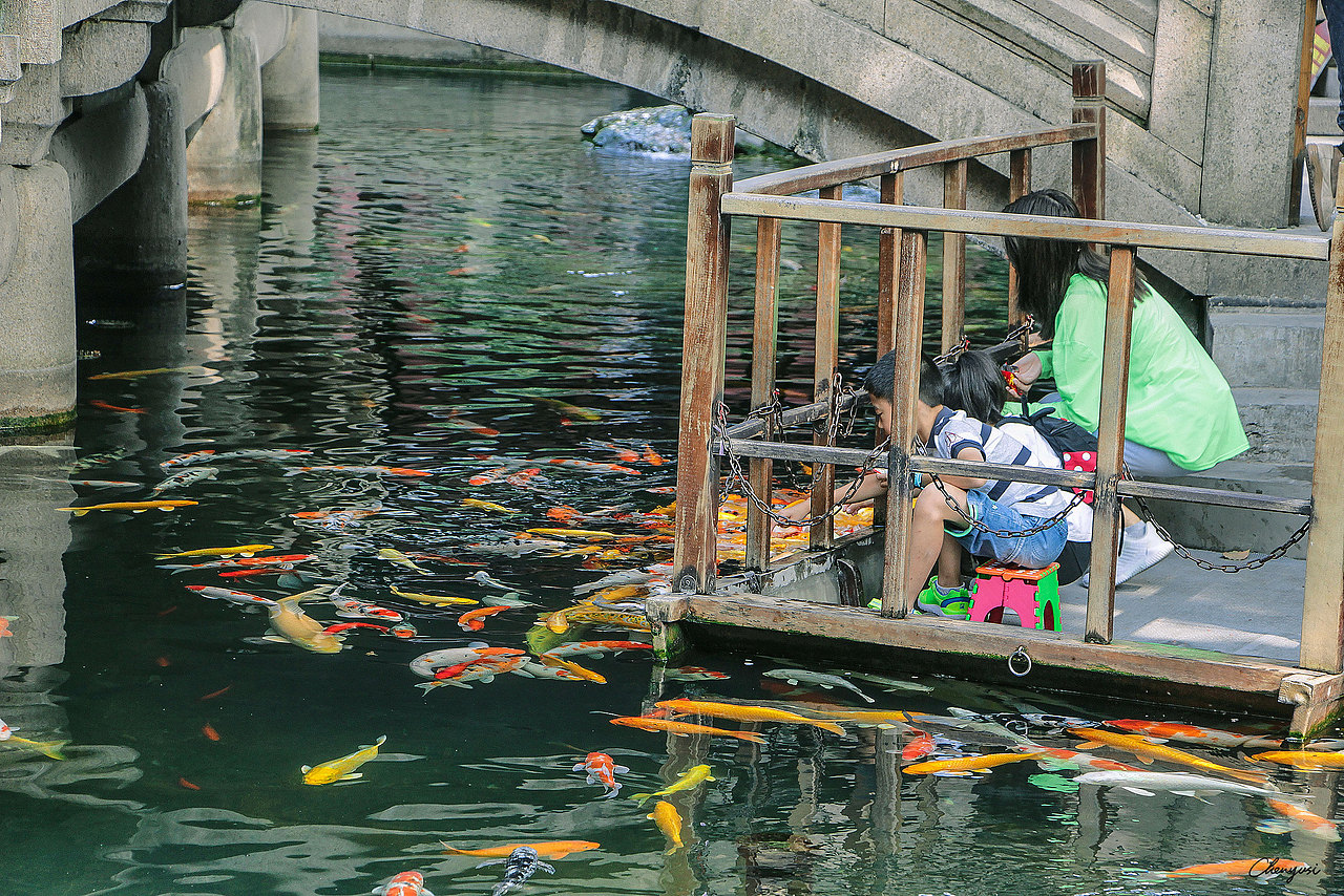 姑苏行——旅行街拍