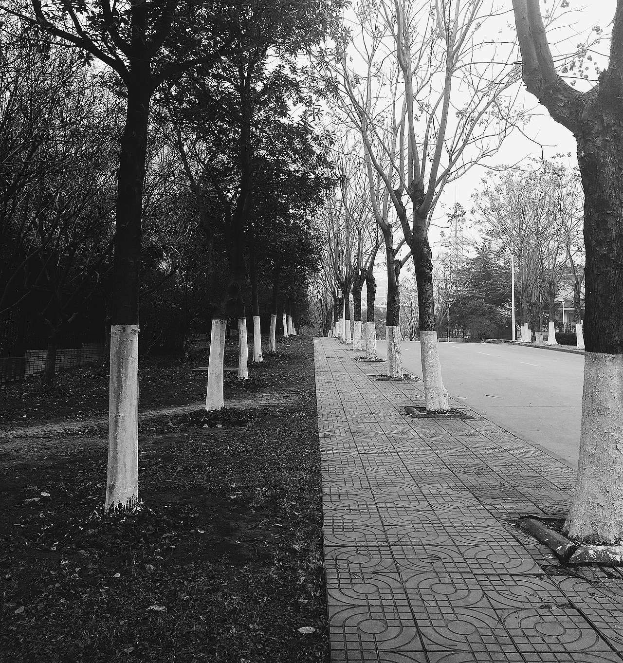 记忆中的镇江（图ZMjg3OTc2MzA0） - 人文/纪实摄影 - 站酷设计师ElaineLEI原创素材 - 站酷ZCOOL