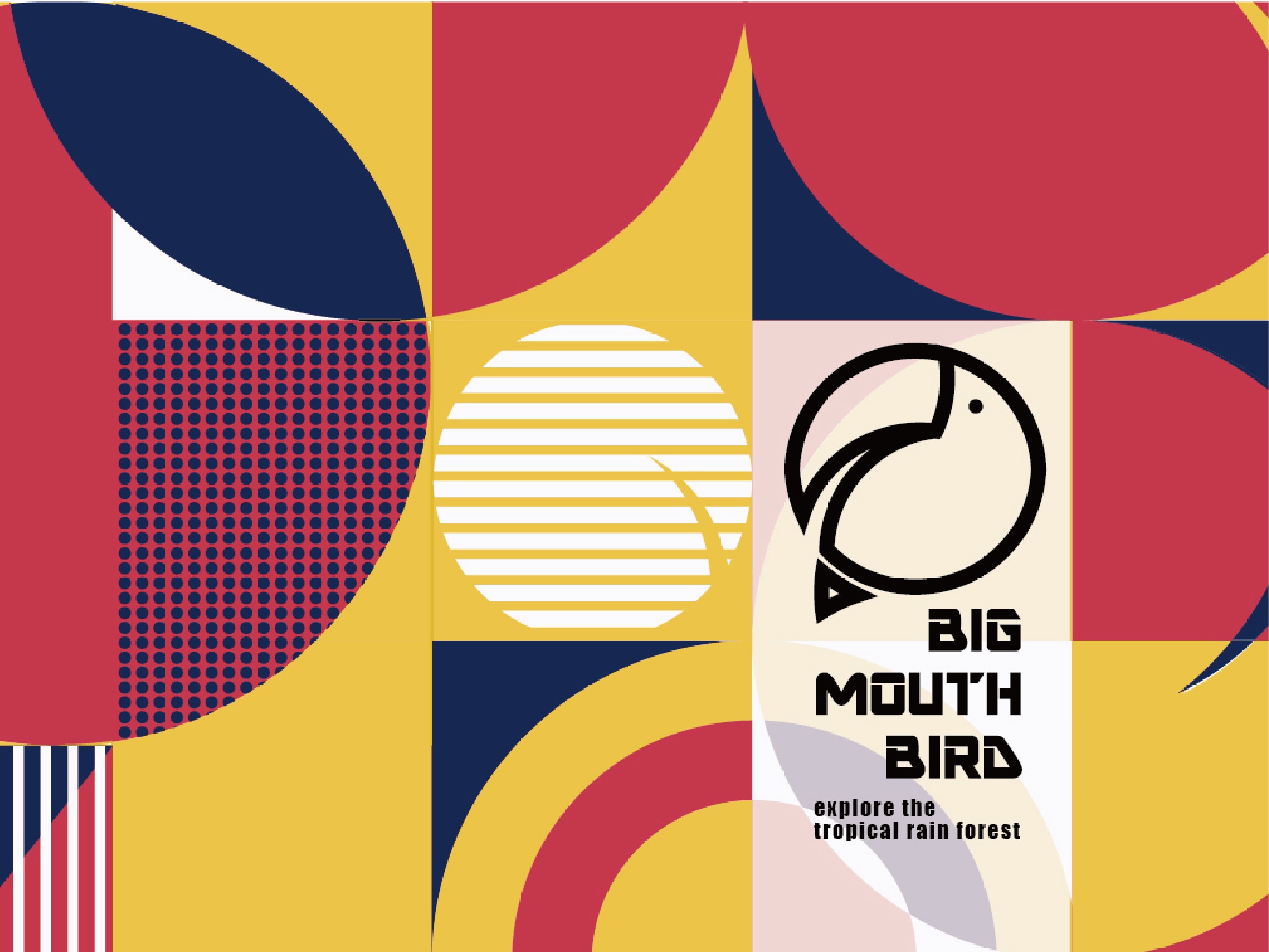 #2019青春答卷#BIG MOUTH BIRO LOGO标志设计vi题案
