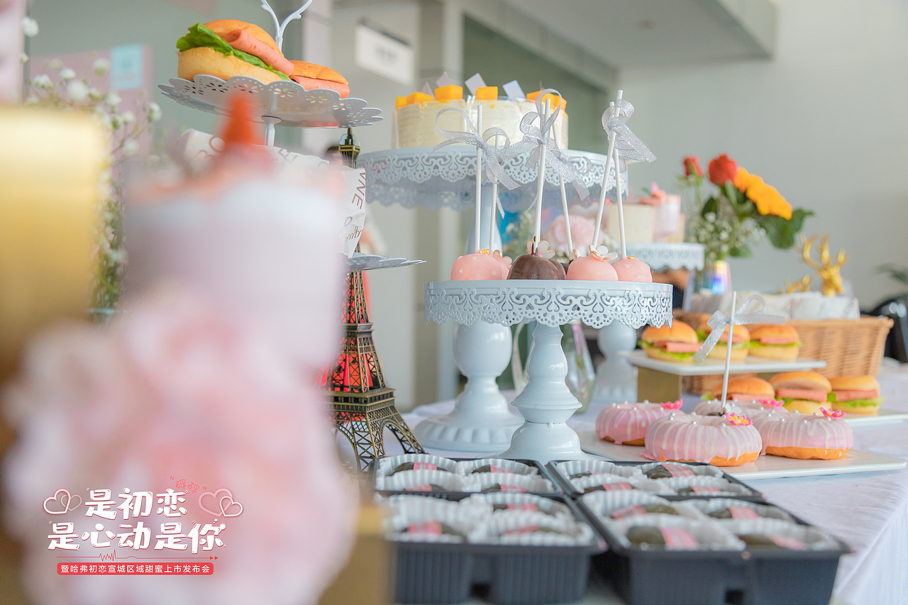 2020年宣城哈弗初恋上市会