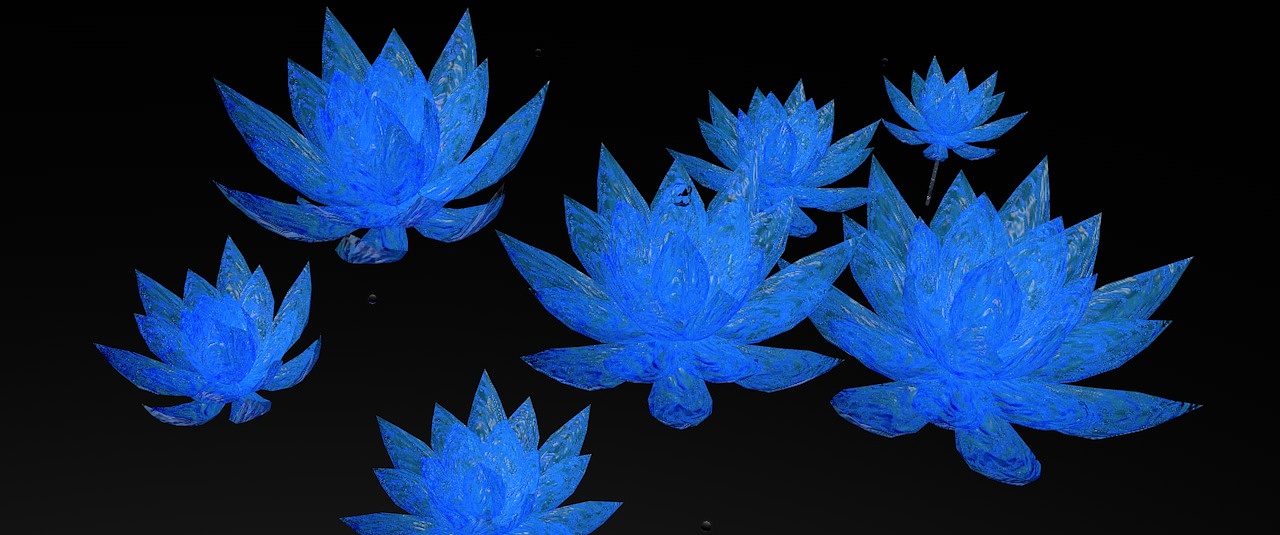 空间,装置及影像视频练习