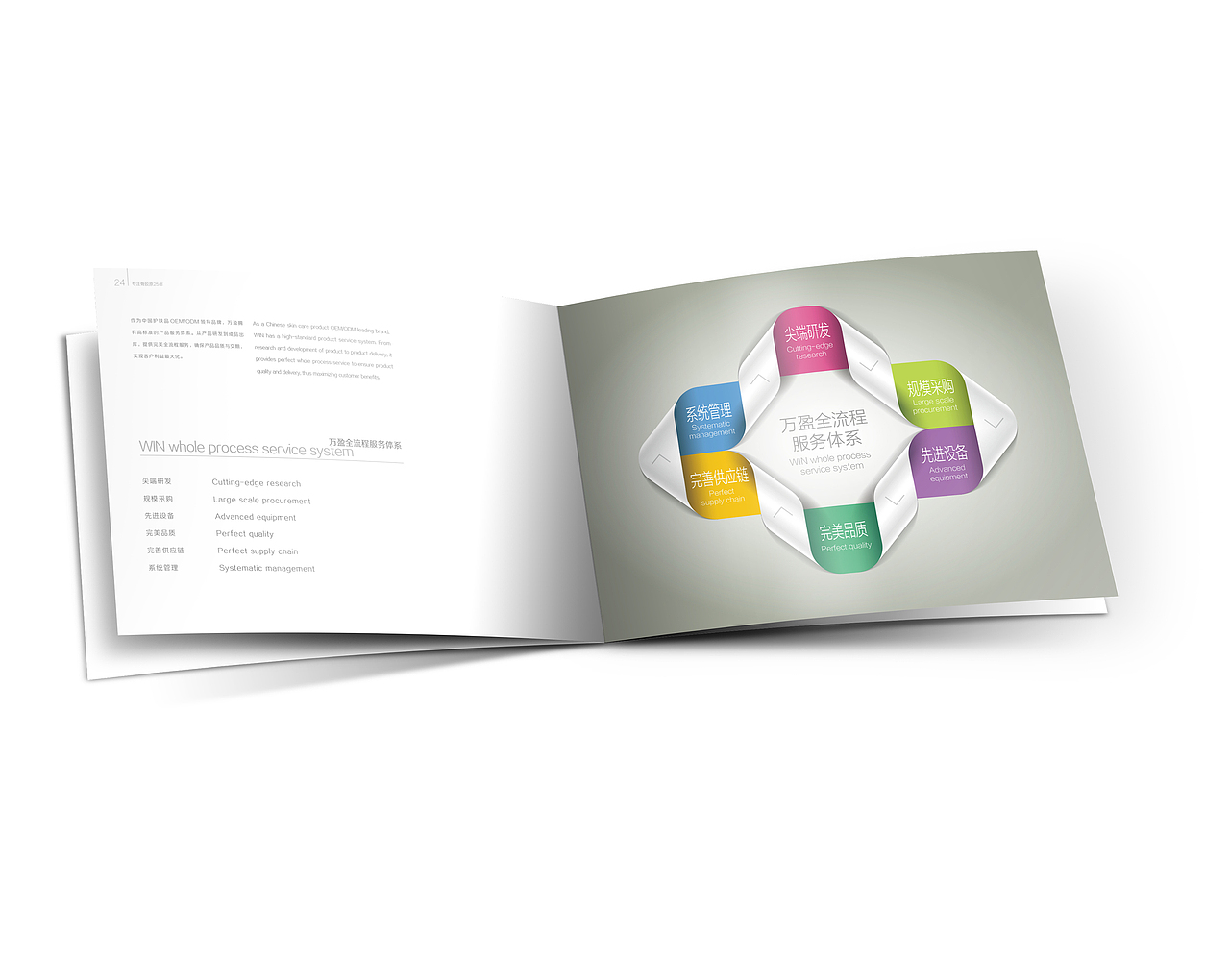 万盈骨胶原画册