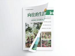 四折页