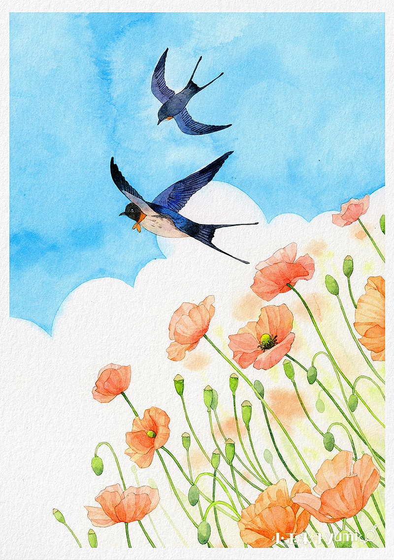 原创作品插画商业插画水彩燕子#wow  中国美食图鉴/水彩789玉米呀yumi