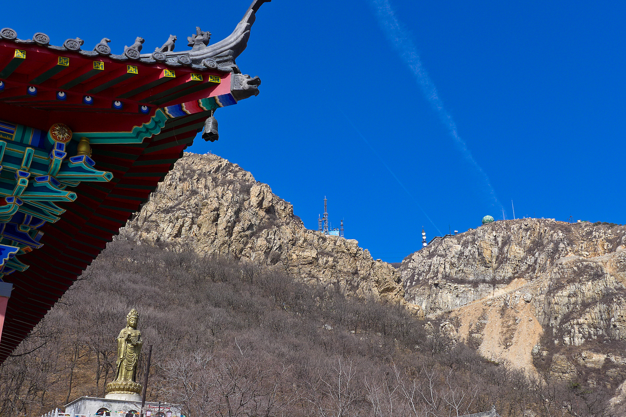 心无所向,梦无所往