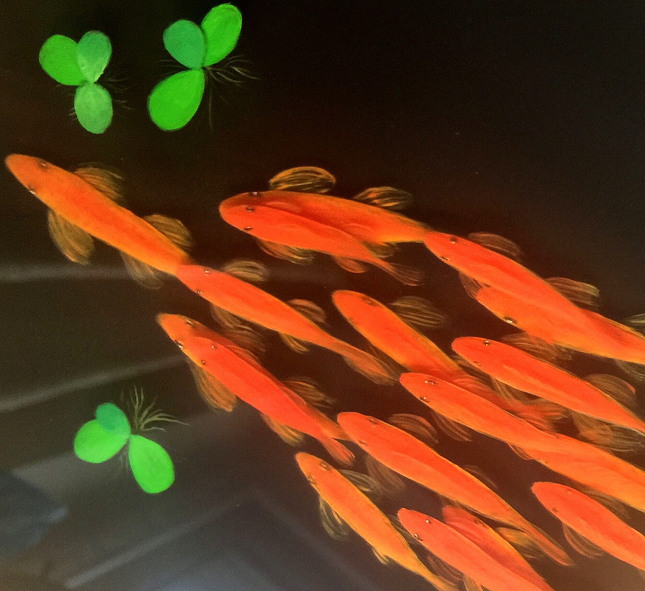 树脂鱼画，新品 【引潮】（图ZNzIxODA0NDA=） - 其他手工艺 - 站酷设计师翱翔天宇原创素材 - 站酷ZCOOL