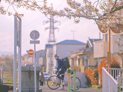 风居住的街道4