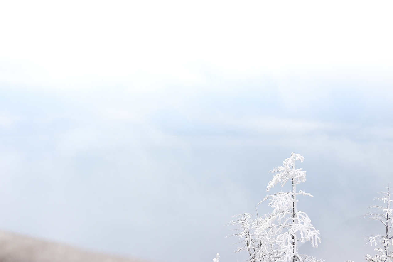 摄影 峨眉山（图ZMTY4MDM4MjU2） - 风光摄影 - 站酷设计师香菜小龍包原创素材 - 站酷ZCOOL