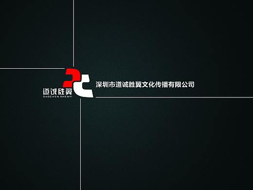 道诚胜翼宣传册