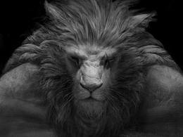 Rengar