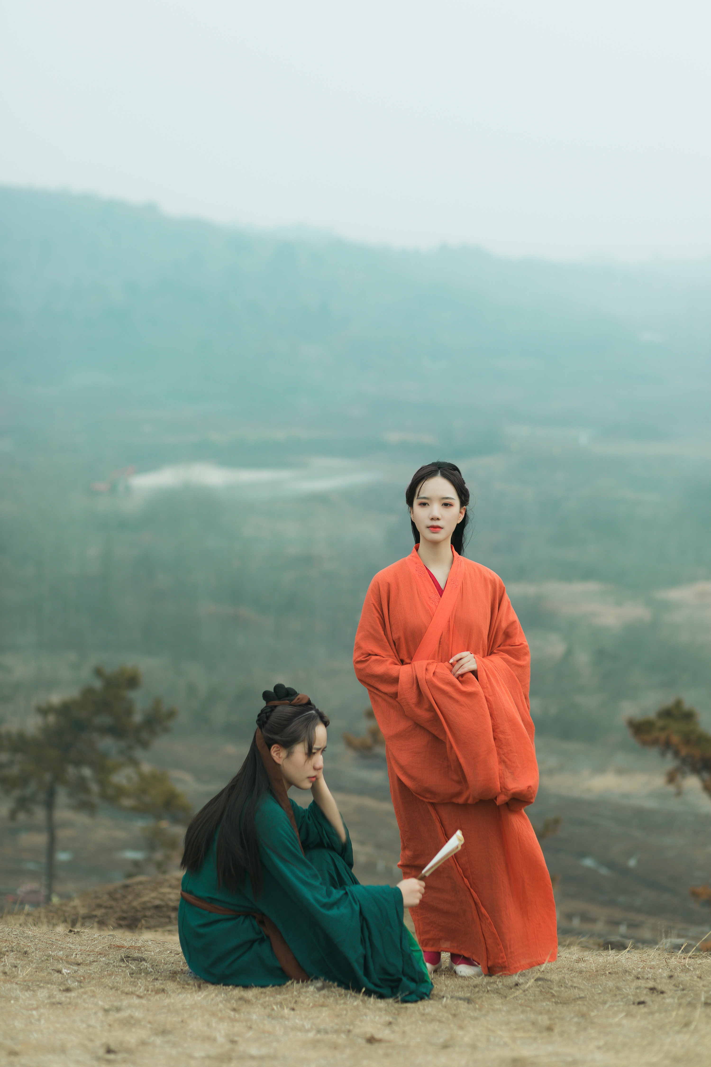 仙人抚我顶,结发受长生