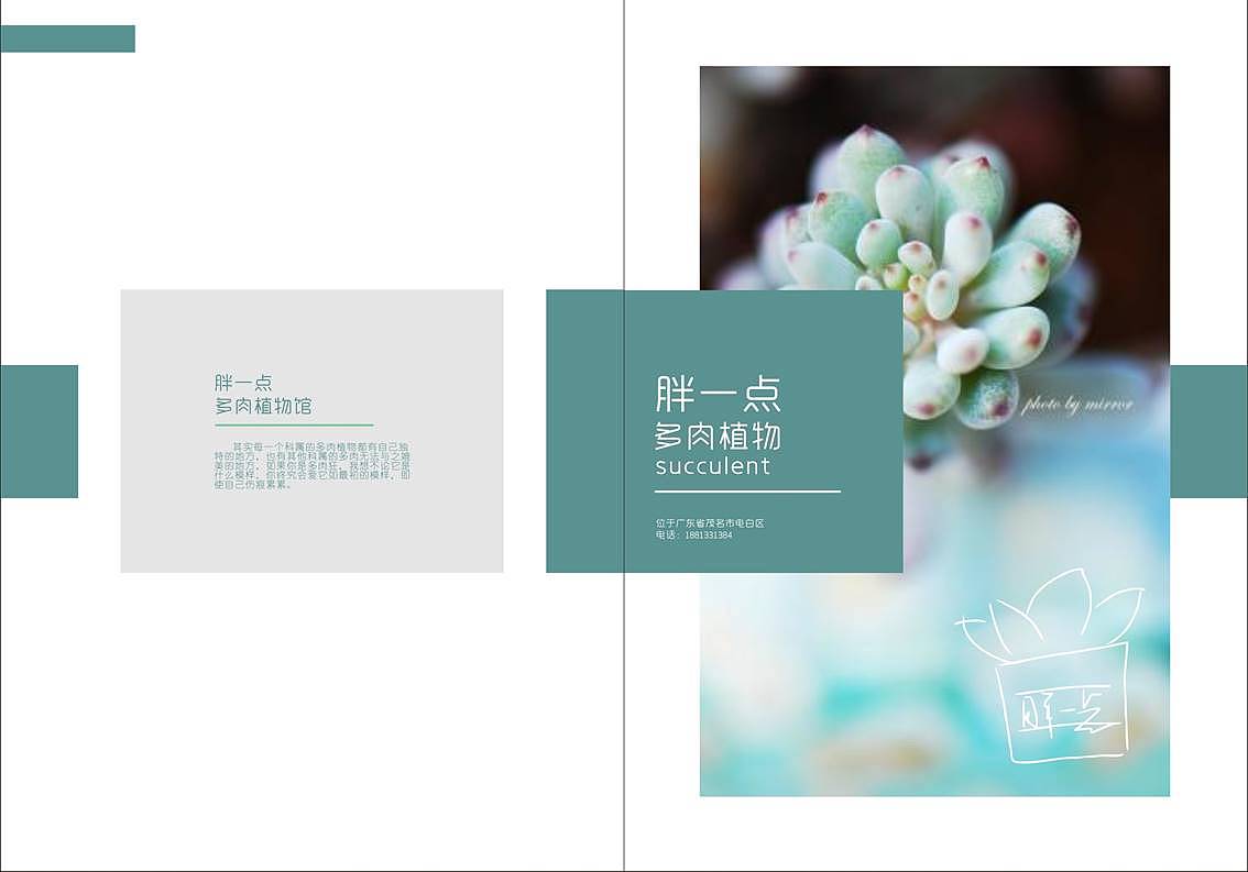 胖一点多肉手册（图ZMTY5NDAxNzMy） - 书籍/画册 - 站酷设计师纸袋原创素材 - 站酷ZCOOL