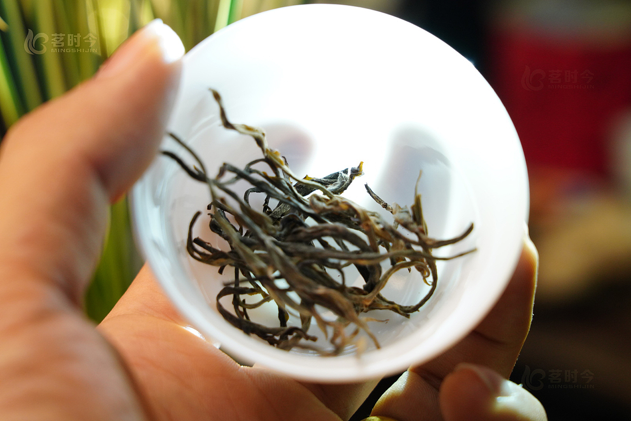 茗时今 中国工夫茶 茶道 茶文化 品茶 潮州工夫茶 茶叶（图ZMjM4MzY4MDMy） - 产品摄影 - 站酷设计师茗时今茶品牌策划原创素材 - 站酷ZCOOL