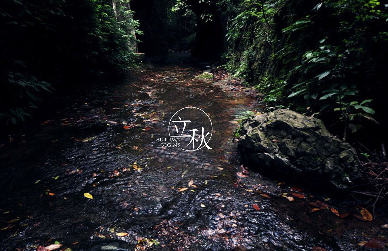 十二节气字体设计