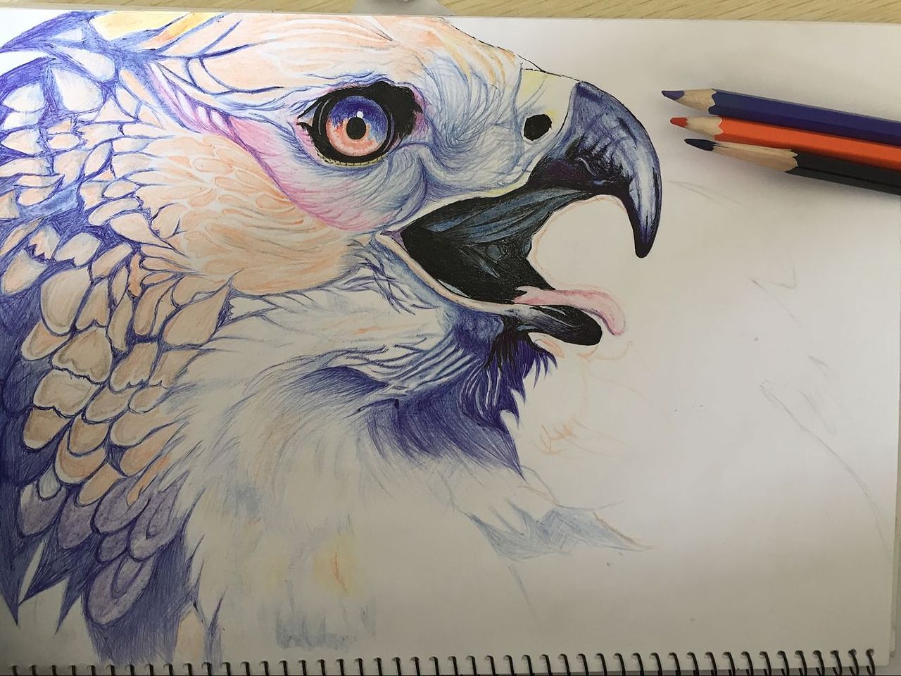 威海明天传媒·手绘· ying（图ZNDMyNjEzNjQ=） - 创作习作 - 站酷设计师明天传媒原创素材 - 站酷ZCOOL