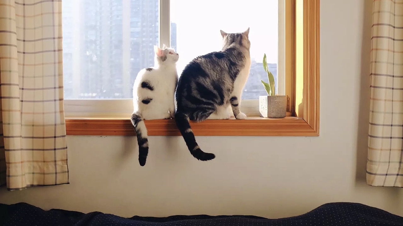 队长和miumiu第二弹