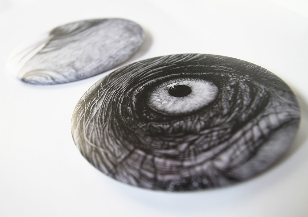 2012北邦漂流动物园巡展（图ZNjUzODM0NA==） - 商业插画 - 站酷设计师北邦原创素材 - 站酷ZCOOL