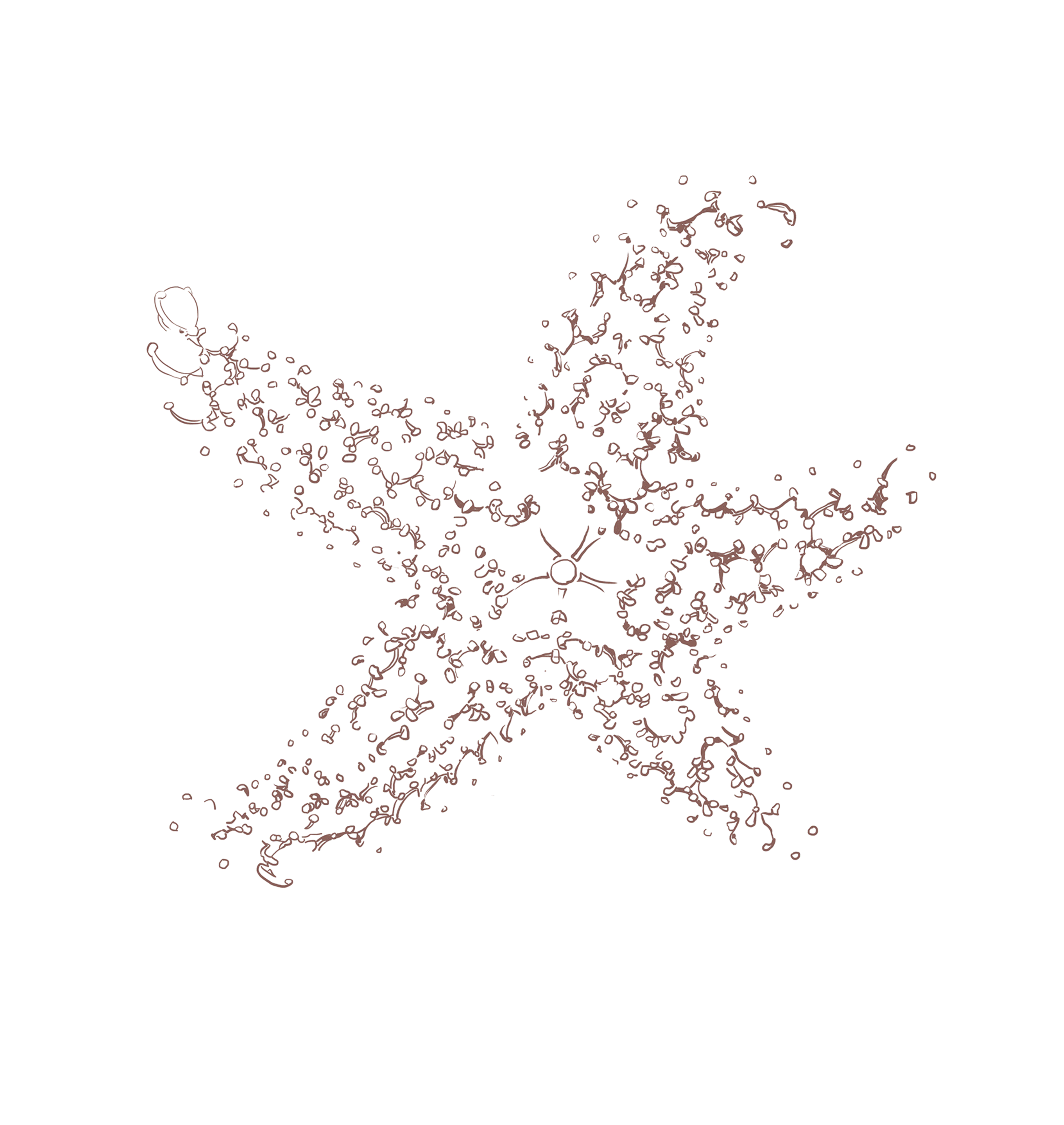 【珠宝首饰绘画步骤图】（图ZOTQ1MDc4NjA=） - 艺术插画 - 站酷设计师巧克力唐唐唐原创素材 - 站酷ZCOOL