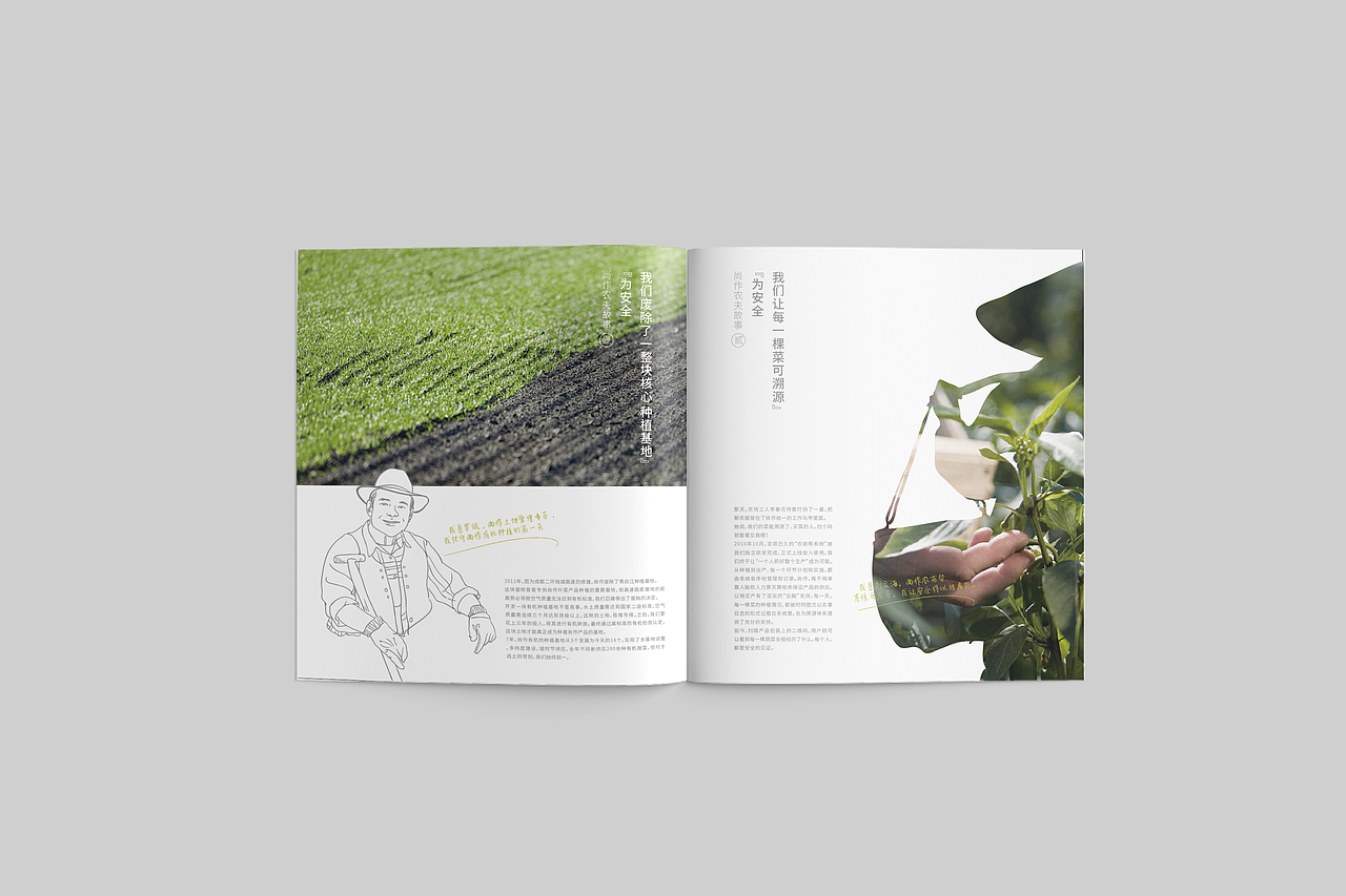 农产品画册设计（图ZMTIxNjI5MDI0） - 书籍/画册 - 站酷设计师钟文Oliver原创素材 - 站酷ZCOOL