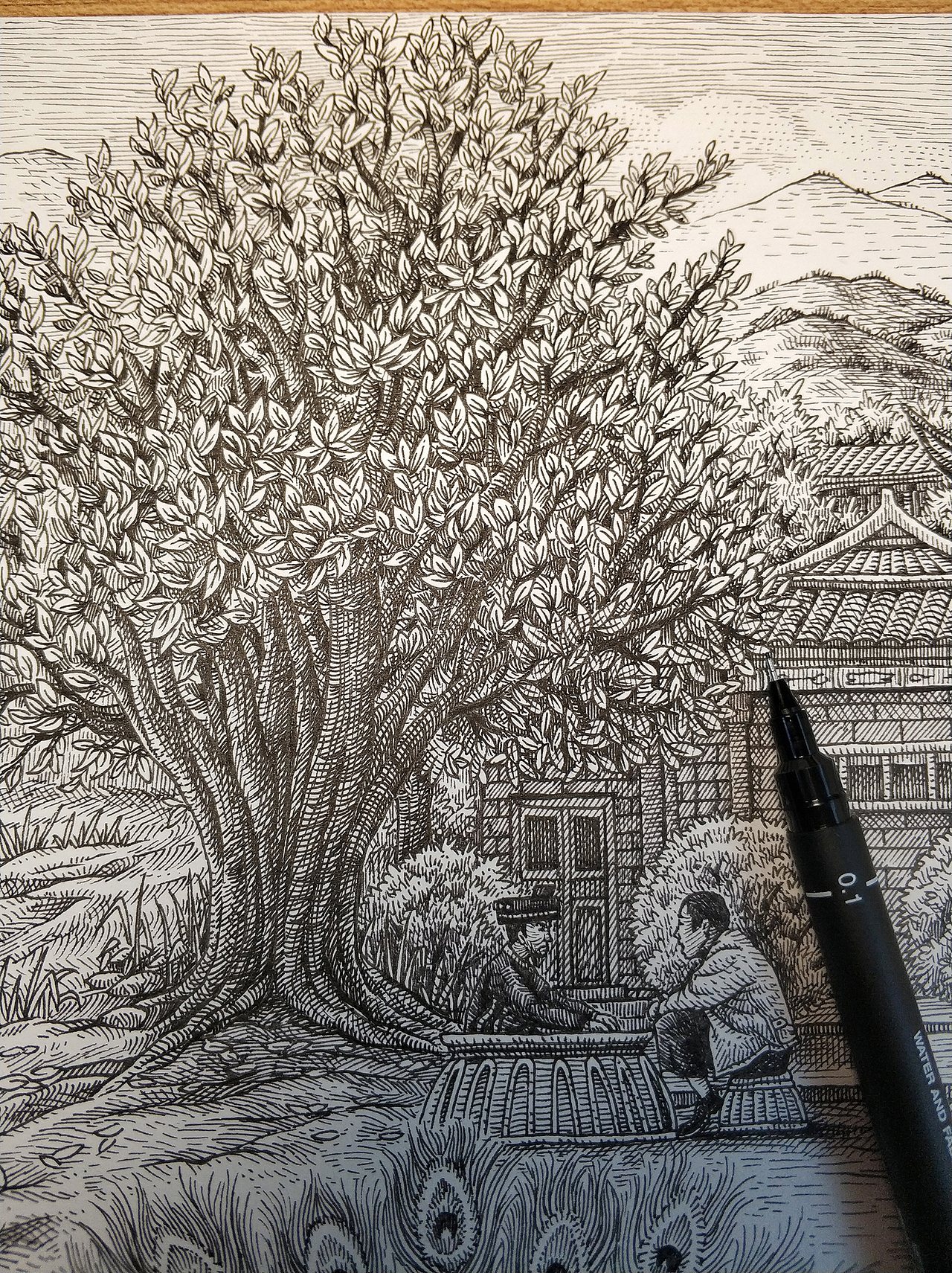 《七彩云南茶》手绘作品