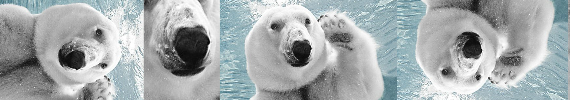 Feerliy的个人主页（背景预览） - 主页背景设置 - 站酷设计师Feerliy原创素材 - 站酷ZCOOL