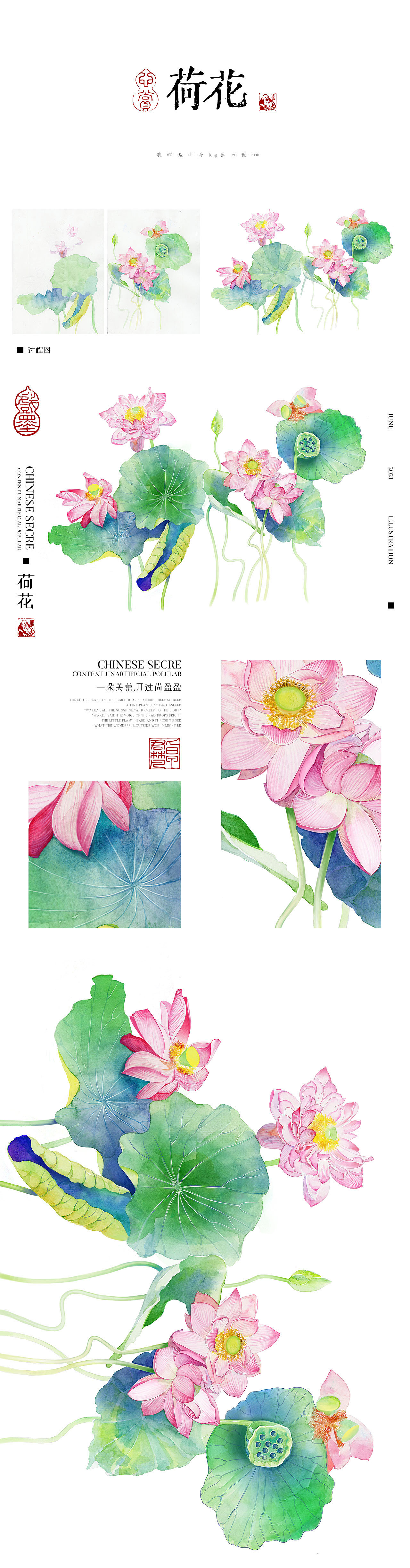 本草膏集 | 设计:澳门靛蓝 X 插画:卓君梵（图ZMjU2ODU3MTI0） - 商业插画 - 站酷设计师卓君梵原创素材 - 站酷ZCOOL