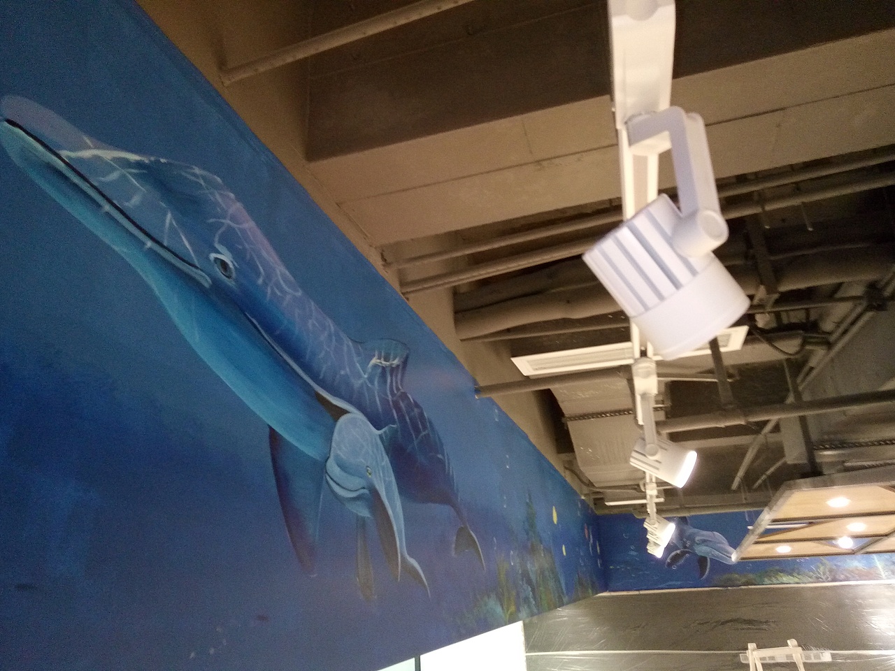 3D墙绘，3D墙画，成都墙绘，成都彩绘，成都壁画（图ZMjQyMTM5ODU2） - 新锐潮流插画 - 站酷设计师农村壁画原创素材 - 站酷ZCOOL