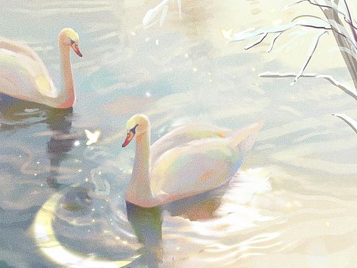 【天鹅湖】