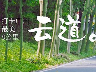 旅游banner