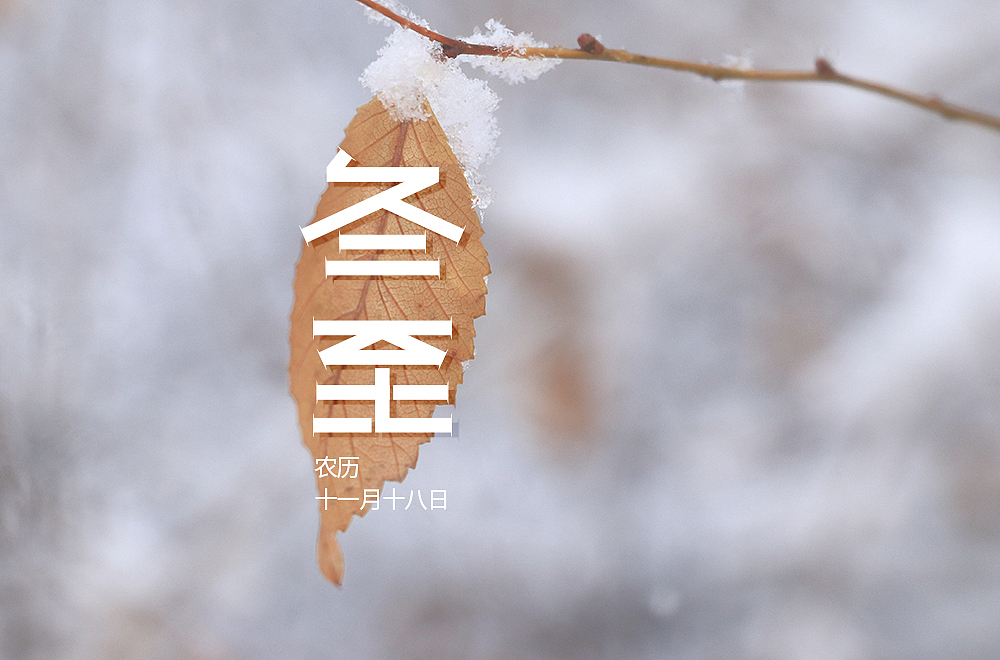 字体帮第2124篇（图ZMjgyMTA5MDg0） - 字体/字形 - 站酷设计师字体帮原创素材 - 站酷ZCOOL