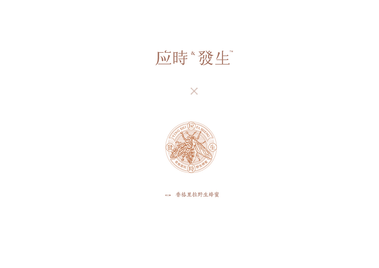 应时发生｜蜂蜜品牌包装（图ZNjgwNjUyMDg=） - 包装 - 站酷设计师应时发生原创素材 - 站酷ZCOOL
