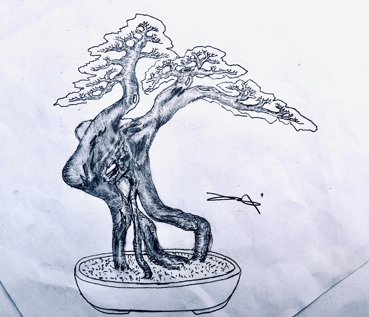 手绘盆景设计效果图|纯艺术|绘画|吕绍武_原创作品-站酷zcool