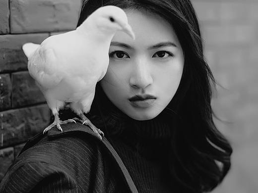 试验体