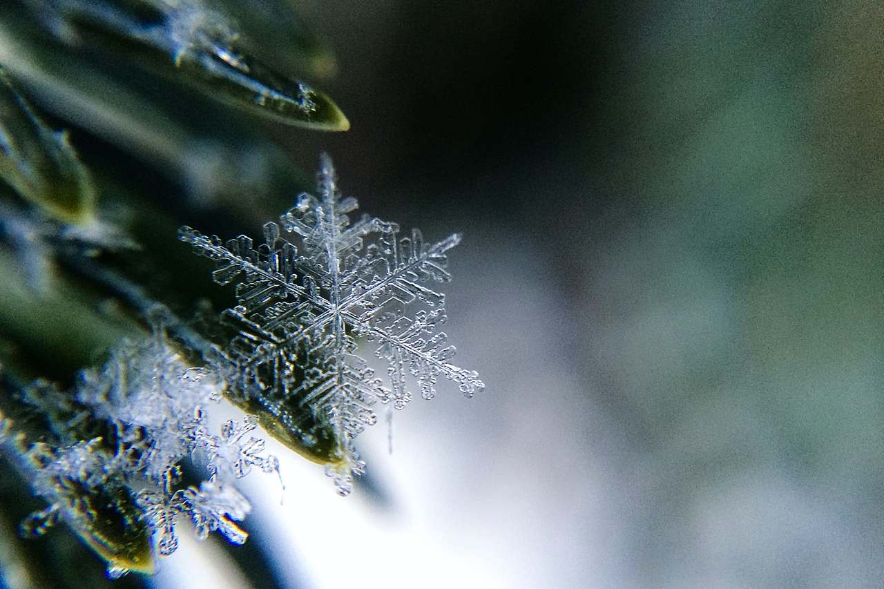冬季·雪景