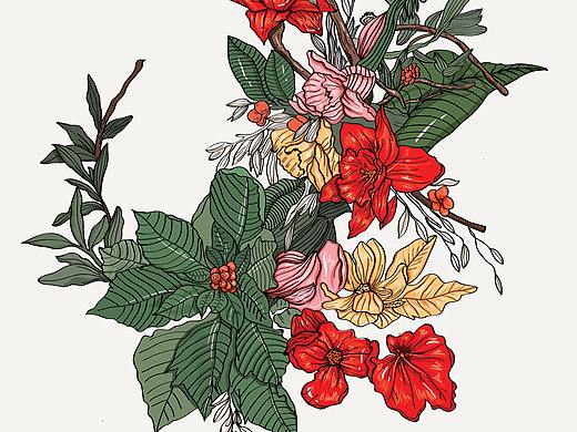 花卉插画