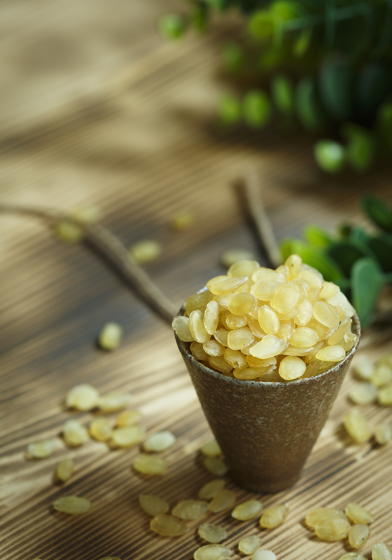 雪燕蔓越莓定格动画