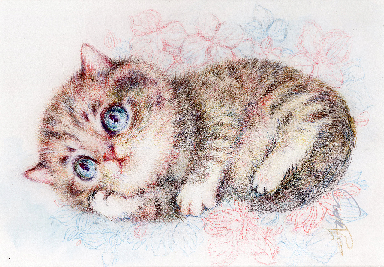 水彩猫咪手绘