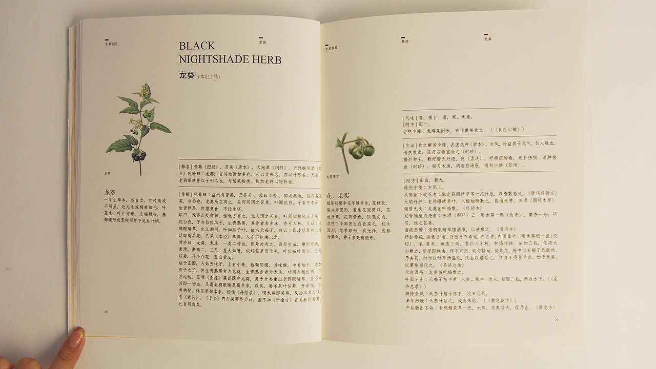 《本草纲目》书籍再设计（图ZNTg4MDI3NTY=） - 书籍/画册 - 站酷设计师丢了个丢666原创素材 - 站酷ZCOOL