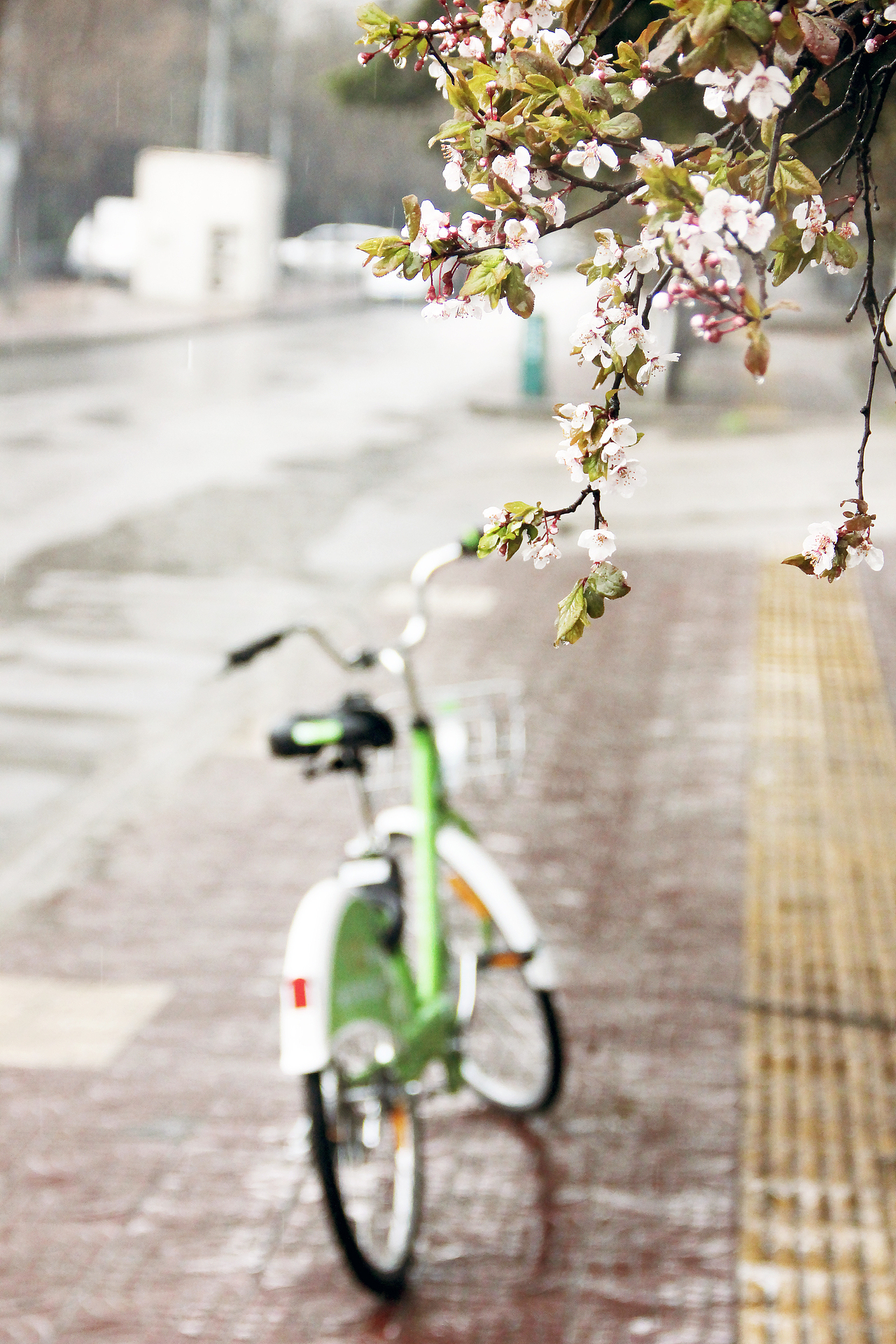下雨天该在家睡觉的