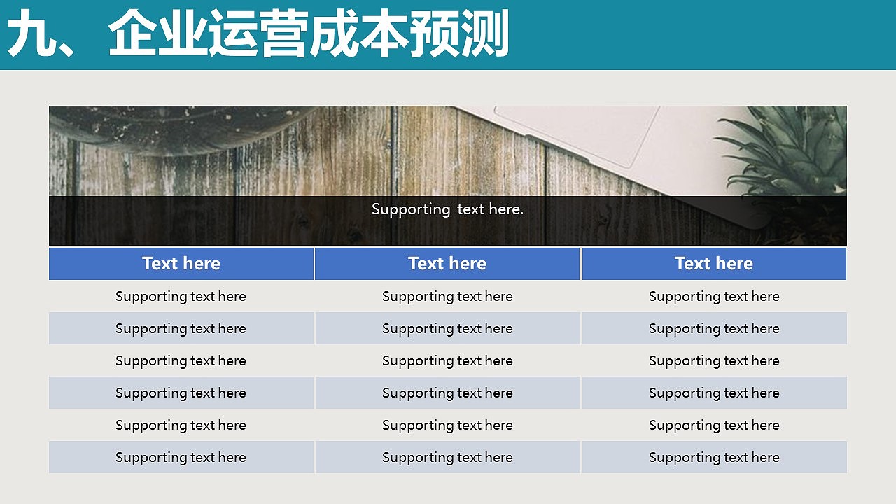 多肉植物商务计划书PPT模板