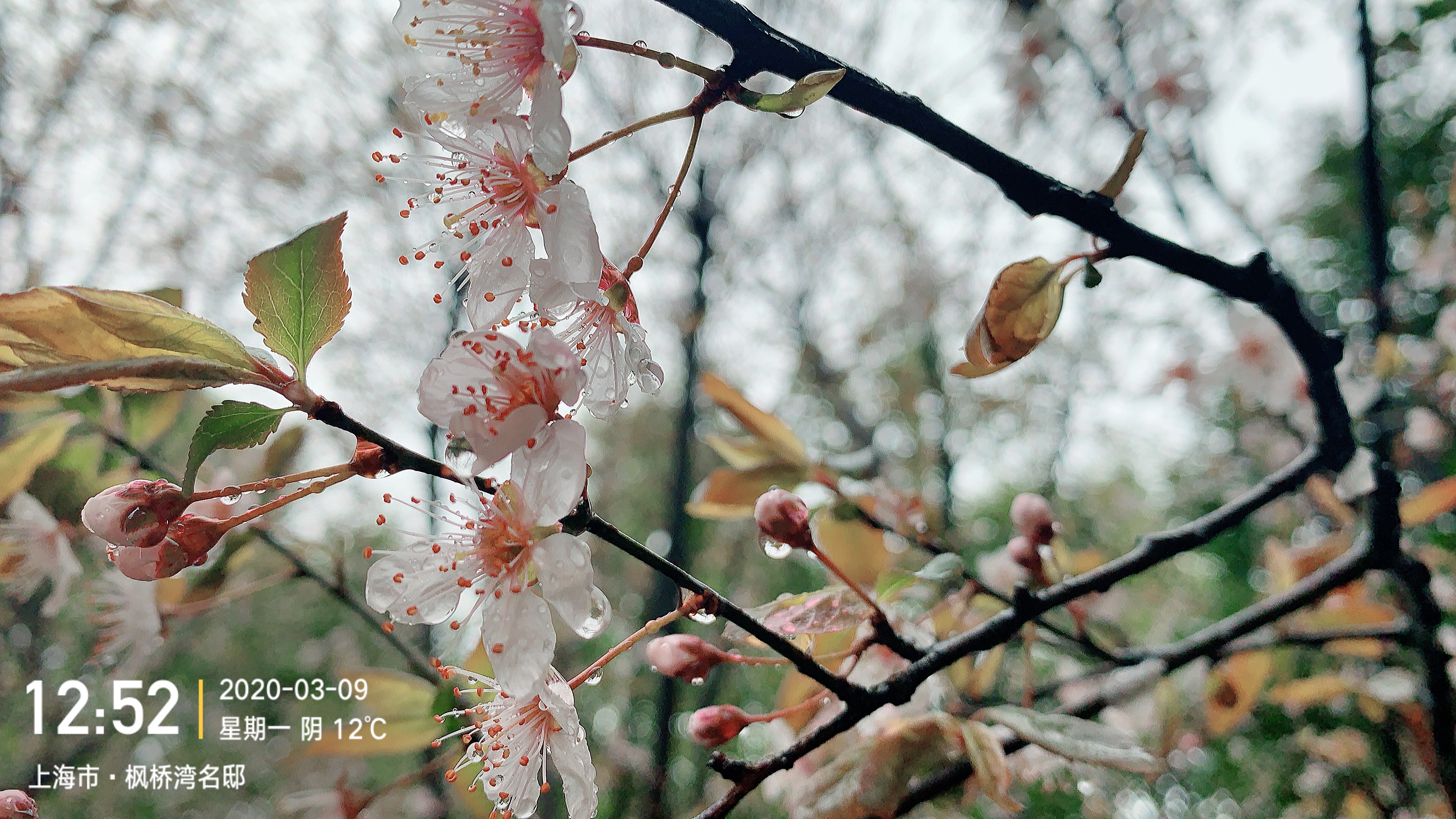 比烟花迷人丶的个人主页（封面预览） - 主页封面设置 - 站酷设计师比烟花迷人丶原创素材 - 站酷ZCOOL