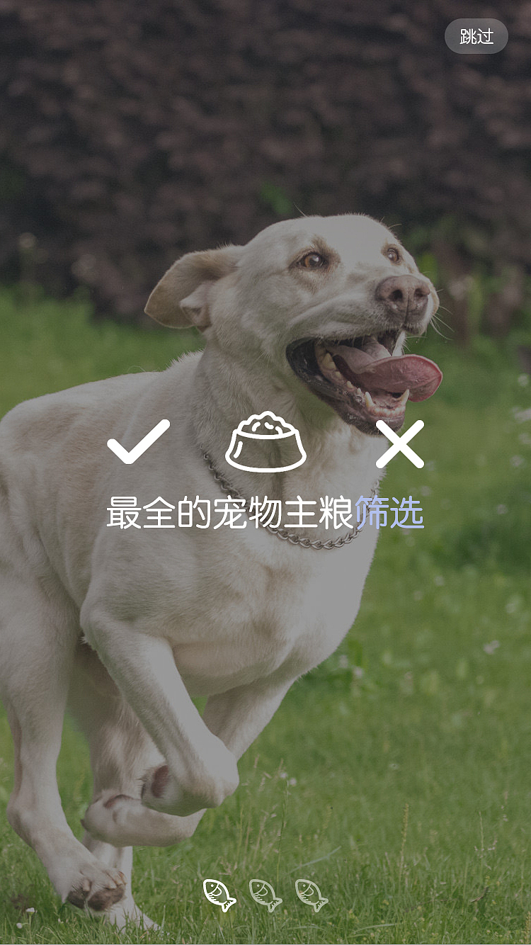 《Pet house》宠物用品店APP设计