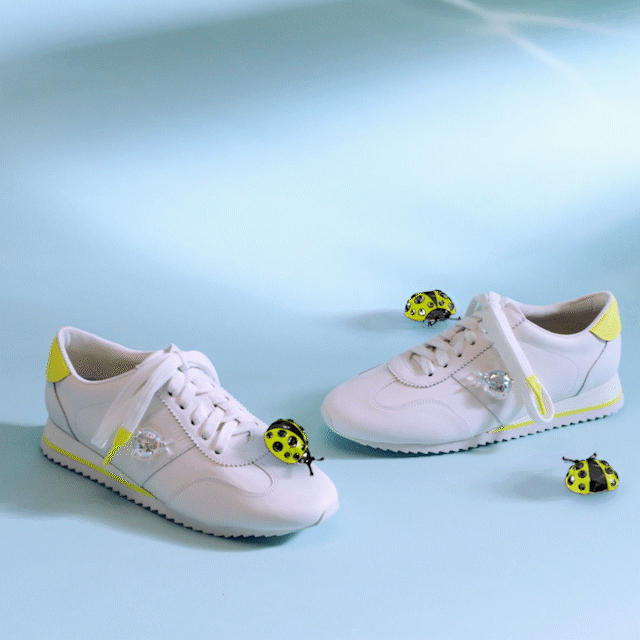 STACCATO谜境奇遇记