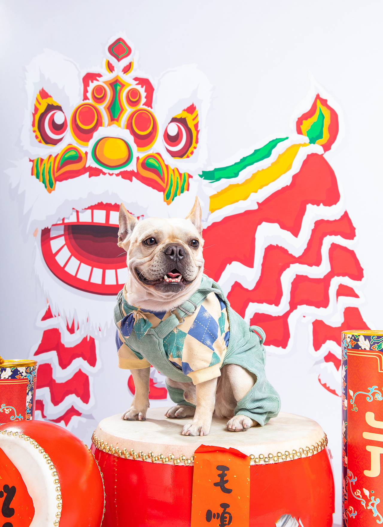 宠物摄影/宠物肖像/华南宠物展