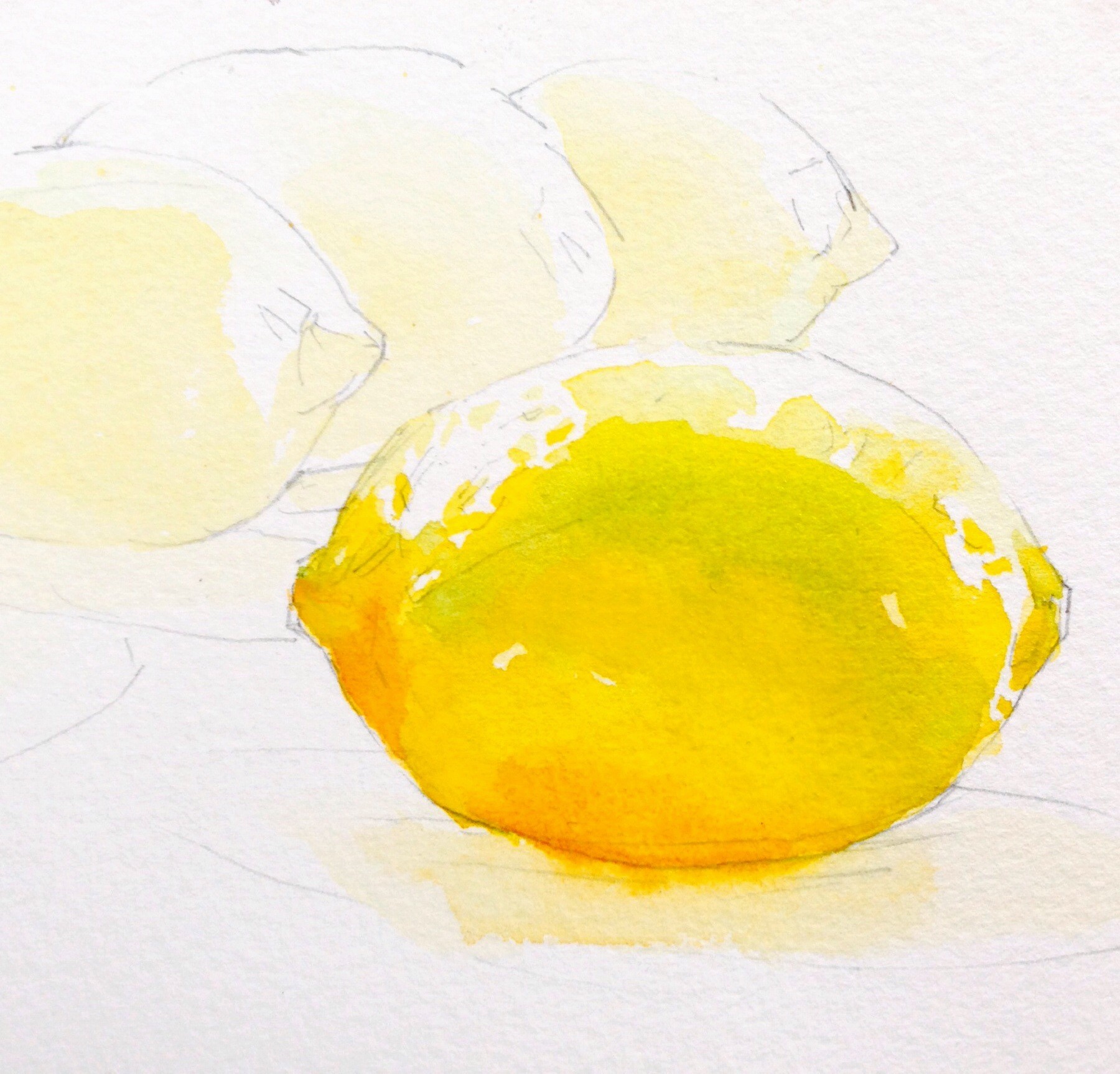 水彩插画全日课堂示范—柠檬