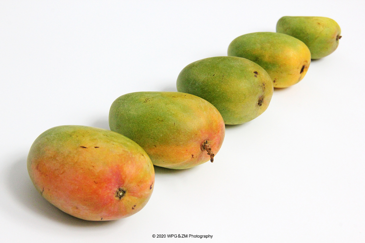 《 HELLO · JULY 》