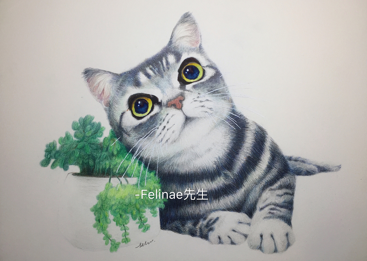 彩铅猫里的猫|纯艺术|绘画|felinae先生 - 原创作品 - 站酷 (zcool)